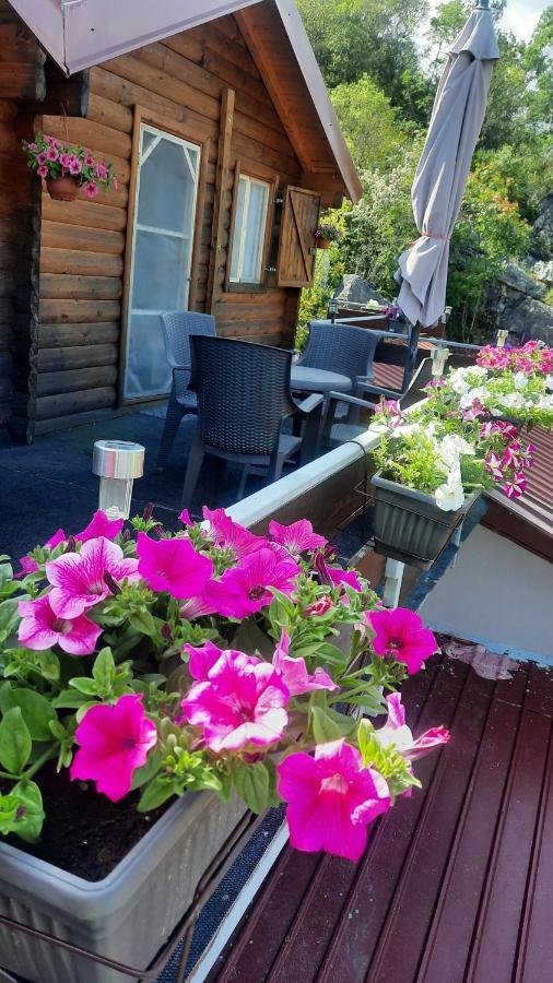 Mali Raj Apartmani Cetinje Kültér fotó